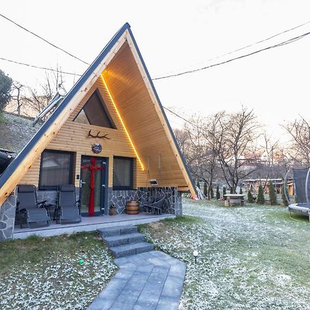 Pensiunea Casa Iulia A-Frame Martinie 외부 사진